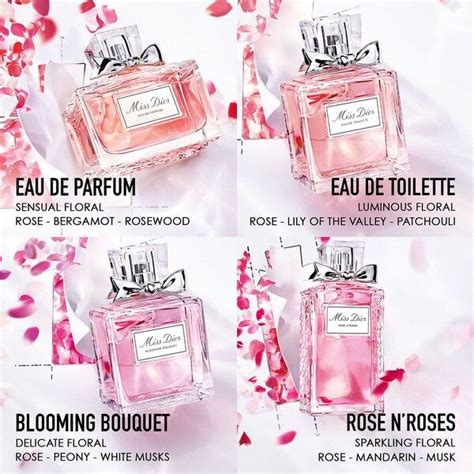 dior rose n roses vs blooming bouquet|Dior blooming bouquet 100ml.